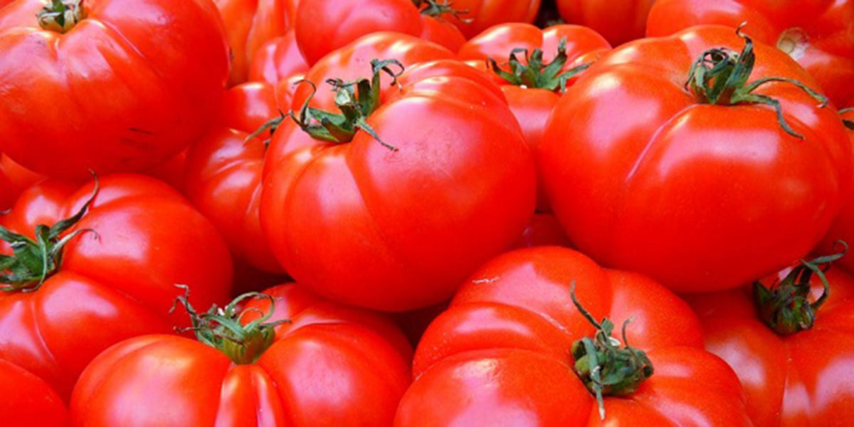 Pomodoro, un mercato che corre